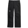 imageTHE NORTH FACE Mens Freedom Insulated Pant  PFAS FreeTnf Blacknpf