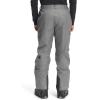 imageTHE NORTH FACE Mens Freedom Insulated Pant  PFAS FreeTnf Medium Grey Heather
