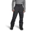 imageTHE NORTH FACE Mens Freedom Insulated Pant  PFAS FreeAsphalt Greynpf