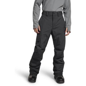 imageTHE NORTH FACE Mens Freedom Insulated Pant  PFAS FreeAsphalt Grey
