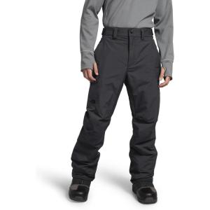 imageTHE NORTH FACE Mens Freedom Insulated Pant  PFAS FreeAsphalt Greynpf