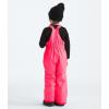 imageTHE NORTH FACE Kids Freedom Insulated BibRadiant Poppy