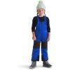 imageTHE NORTH FACE Kids Freedom Insulated BibTnf Blue