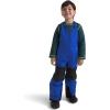 imageTHE NORTH FACE Kids Freedom Insulated BibTnf Blue