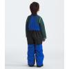 imageTHE NORTH FACE Kids Freedom Insulated BibTnf Blue