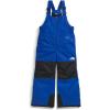 imageTHE NORTH FACE Kids Freedom Insulated BibTnf Blue