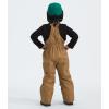 imageTHE NORTH FACE Kids Freedom Insulated BibUtility Brown