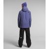 imageTHE NORTH FACE Mens Freedom Insulated JacketCave Blue