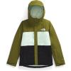 imageTHE NORTH FACE Womens Freedom Insulated JacketForest OlivePale GreenTnf Black