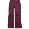 imageTHE NORTH FACE Womens Freedom Insulated Pant Standard and Plus SizeAlpine Plum