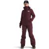imageTHE NORTH FACE Womens Freedom Insulated Pant Standard and Plus SizeAlpine Plum