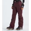 imageTHE NORTH FACE Womens Freedom Insulated Pant Standard and Plus SizeAlpine Plum