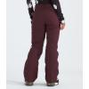 imageTHE NORTH FACE Womens Freedom Insulated Pant Standard and Plus SizeAlpine Plum