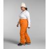 imageTHE NORTH FACE Womens Freedom Insulated Pant Standard and Plus SizeMandarin