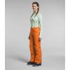 imageTHE NORTH FACE Womens Freedom Insulated Pant Standard and Plus SizeMandarin