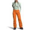 imageTHE NORTH FACE Womens Freedom Insulated Pant Standard and Plus SizeMandarin