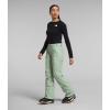 imageTHE NORTH FACE Womens Freedom Insulated Pant Standard and Plus SizeMisty Sage