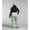 imageTHE NORTH FACE Womens Freedom Insulated Pant Standard and Plus SizeMisty Sage