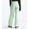 imageTHE NORTH FACE Womens Freedom Insulated Pant Standard and Plus SizePale Green