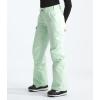 imageTHE NORTH FACE Womens Freedom Insulated Pant Standard and Plus SizePale Green