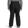 imageTHE NORTH FACE Womens Freedom Insulated Pant Standard and Plus SizeTnf Black