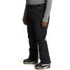 imageTHE NORTH FACE Womens Freedom Insulated Pant Standard and Plus SizeTnf Black