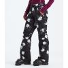 imageTHE NORTH FACE Womens Freedom Insulated Pant Standard and Plus SizeTnf Black Winter Flowers Print