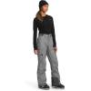 imageTHE NORTH FACE Womens Freedom Insulated Pant Standard and Plus SizeTnf Medium Grey Heather