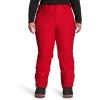imageTHE NORTH FACE Womens Freedom Insulated Pant Standard and Plus SizeTnf Red