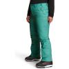 imageTHE NORTH FACE Womens Freedom Insulated Pant Standard and Plus SizeWasabi
