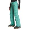 imageTHE NORTH FACE Womens Freedom Insulated Pant Standard and Plus SizeWasabi