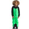 imageTHE NORTH FACE Kids Freedom Insulated BibChlorophyll Green