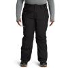 imageTHE NORTH FACE Womens Freedom Insulated Pant Standard and Plus SizeTnf Black