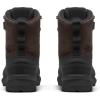 imageTHE NORTH FACE Chilkat V Lace WP  MensCoffee BrownTnf Black