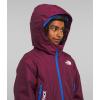 imageTHE NORTH FACE Freedom Insulated Jacket ToddlerBoysenberry