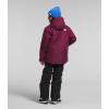 imageTHE NORTH FACE Freedom Insulated Jacket ToddlerBoysenberry