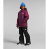 imageTHE NORTH FACE Freedom Insulated Jacket ToddlerBoysenberry