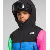 imageTHE NORTH FACE Freedom Insulated Jacket ToddlerOptic Blue