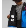 imageTHE NORTH FACE Freedom Insulated Jacket ToddlerOptic Blue