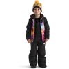 imageTHE NORTH FACE Freedom Insulated Jacket ToddlerRadiant Poppy Blowing Wind Print