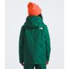 imageTHE NORTH FACE Teen Freedom TriclimateEvergreen