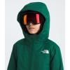 imageTHE NORTH FACE Teen Freedom TriclimateEvergreen