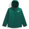 imageTHE NORTH FACE Teen Freedom TriclimateEvergreen