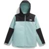 imageTHE NORTH FACE Teen Freedom TriclimateMuted Pine