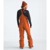 imageTHE NORTH FACE mens Freedom BibEarthen Copper