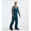 imageTHE NORTH FACE mens Freedom BibMidnight Petrol