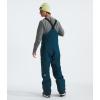 imageTHE NORTH FACE mens Freedom BibMidnight Petrol