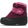 Boysenberry/Tnf Black