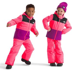 imageTHE NORTH FACE Freedom Insulated Jacket ToddlerRadiant Poppy
