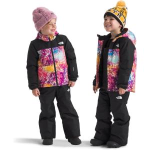 imageTHE NORTH FACE Freedom Insulated Jacket ToddlerRadiant Poppy Blowing Wind Print